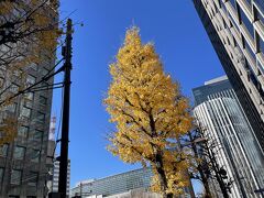 年末年始は東京で、3日目