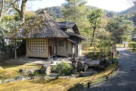 京都　優雅な冬旅♪　Vol.68 ☆高台寺：冬の美しい庭園や寺院♪