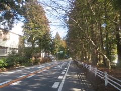 日光市街の日光駅周辺を歩きました