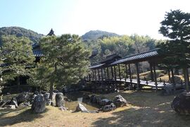 京都　優雅な冬旅♪　Vol.69 ☆高台寺：冬の美しい庭園や寺院♪