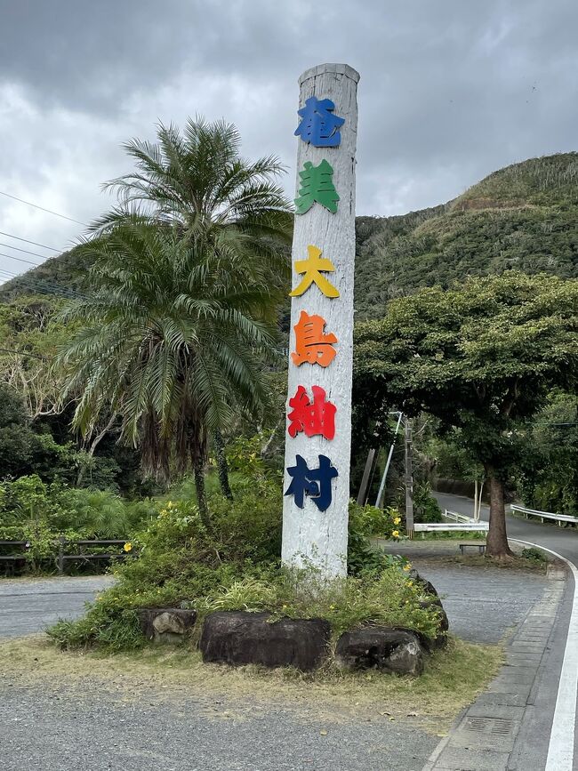 最近世界遺産に登録された奄美大島。魅力いっぱいの島です。目的のクロウサギも観る事が出来ました。最終日は奄美紬村での泥染体験をします。