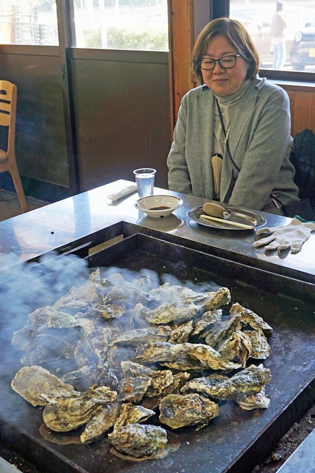 わかめ収穫体験からわかめの塩蔵を終え、さらに鳴門海峡のクルーズも終え、最後のお昼に出掛けることにします。フロントでタクシーを呼んでもらい向かったのはホテルのある大毛島と隣の島田島の間にある内海の「かき焼き　うちの海」というところです。タクシーで1,000円ちょっとでした。大毛島の反対側の海岸線に出るとカキの養殖筏がいくつも浮かんでいます。この景色だけで期待が高まります。事前に予約してありましたが、祭日明けの平日にもかかわらず地元のお客さんが結構来ていました。なぜ地元と人か分かるかというとこの店はお酒も調味料もなんでも持ち込みが可能なので、テーブルにマヨネーズやポン酢や七味やバターを持ってくる人は地元の人としか考えられません。<br />8人掛けのテーブルの中央には鉄板で造られた焼き板があり、上には蓋が吊るされています。その蓋の上下はウインチというワイルドさです。席に座るとフロアの中央にある台に積まれた牡蠣をスコップで巨大なバケツに山積みにします。それを鉄板に放り込んでウインチで蓋を降ろします。タイマーを15分かけて調理は終わりです。そのうちに蓋の穴から蒸気が噴出して、タイマーが鳴るとウインチで蓋が上がっていきます。濛々とした蒸気の中から100個ほどの牡蠣が現れます。あとはひたすら食べるだけです。持ってきた缶チューハイや昨晩残った日本酒などをいただきます。食べ放題なので牡蠣はおかわり出来ますが我々には無理でした。大満足でしたが表に積まれた牡蠣が１箱３０個くらいで1,100円という安さです。美味しいのは今食べたばかりなので、友人へのお土産に4箱送ってもらうことにしました。これは4家族に喜ばれたのは言うまでもありません。90分後にタクシーをお願いしていたのでそのままホテルに戻りますが、時間が余ってしまったので温泉に入ることにしました。展望風呂で最後の温泉を楽しんだ後は湯上りに1階のカフェですだちジュースと鳴門金時アイスをいただきます。午後5時の送迎バスで空港まで送っていただき、アオアヲナルトの滞在は終わりました。帰りの便は最終便にしていたので空港でも時間がかなりありました。到着時にお願いしていた竹輪やカツ天に追加のお土産を買って、空港のレストランで最後の乾杯をして楽しい鳴門の旅は終わりました。