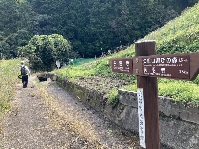 　秋晴れの一日、ご近所のウォーキング仲間で矢田丘陵をハイキングした。矢田丘陵は奈良盆地北部に南北に連なるなだらかな丘陵で、ハイキングコース、展望台、体験施設などが設置され、手軽に自然を楽しめる。<br />　今回は南半分にあたる、矢田山遊びの森～東明寺～矢田寺～松尾寺、を歩いた。