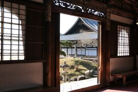 京都　優雅な冬旅♪　Vol.72 ☆高台寺：冬の美しい庭園や寺院♪