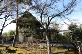 京都　優雅な冬旅♪　Vol.75 ☆高台寺：冬の美しい庭園や寺院♪