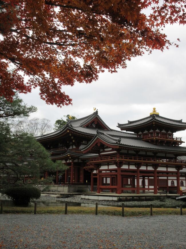 突然京都旅。目的は染料屋さんですが今日は宇治観光になりました。