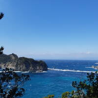 お天気いいって素晴らしい、南伊豆町の河津桜&菜の花畑と下田散策