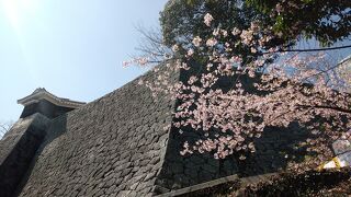 ジジババが行く３月の松山としまなみ海道と砥部焼①