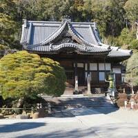 浄蓮の滝・修善寺～富士山　北条と源氏