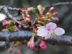 季節の街歩き　2022年冬　Walking of the season  2022 Winter