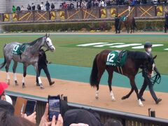 メロディーレーンちゃんを見に東京競馬場までピクニック！そして帰りは呑み