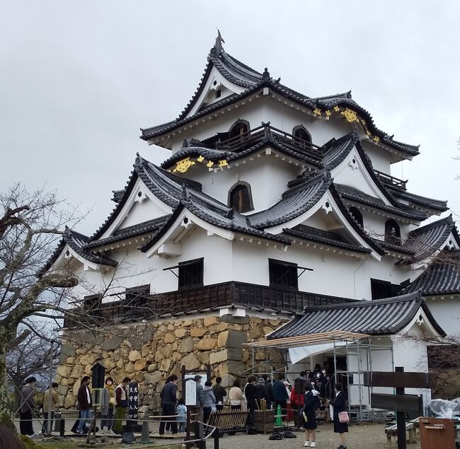 ３月の３連休は春まだ浅い湖国・・滋賀県へ。<br /><br />仙台からＡＮＡで飛び大阪伊丹空港へ。<br />２泊３日で今度はどこへ行こうかな～。<br />そうだ！びびママは訪れたこともなく<br />通過したことすらない（上空は通ったことあるかも）<br />滋賀県へ行こう！<br />琵琶湖の印象が強かった滋賀県ですが<br />昔から交通の要所であり歴史の表舞台になることもしばしば。<br />見どころもたくさんあってどこへ行こうか迷います。<br />初滋賀県の旅は・・<br />一度はお詣りしたかった比叡山。<br />そしてやっぱり彦根城。お城つながりで長浜や安土へ。<br />春まだ浅いこの時期。変わりやすい天気に翻弄されながら<br />電車やバスはもちろんケーブルカー・モノレール<br />そして屋台船・自転車に乗るという乗り物三昧<br />３日間の盛りだくさんの旅になりました。<br /><br /><br />３／１９　仙台空港７：１５発ー大阪伊丹空港着９：１５着　<br />　　　　　ＡＮＡ　７３２便<br />　　　　　リムジンバスで京都駅<br />　　　　　京都駅から琵琶湖線で草津へ。<br />　　　　　ホテルへ荷物を預けた後<br />　　　　　彦根・長浜方面へ。<br /><br />　　　　　ホテルボストンプラザ草津　泊　　　　<br />　　　　　　<br />３／２０　比叡山<br />　　　　　坂本<br />　　　　　　<br />　　　　　ホテルボストンプラザ草津　泊<br /><br />３／２１　近江八幡<br />　　　　　安土<br />　　　　　琵琶湖線で新大阪まで<br />　　　　　新大阪から地下鉄モノレールを乗り継ぎ大阪伊丹空港へ<br />　　　　　大阪伊丹空港１９：４０発ー仙台空港２０：５５<br />　　　　　ＡＮＡ７３９便　　　<br />　　　　　　<br />航空券：ＡＮＡ　ＨＰから予約<br />　　　　往復１人２１，７８０円<br />　　　　スカイコイン＋差額クレカでお支払い<br /><br />ホテル：ホテルボストンプラザ草津<br />プラン：お得なシンプルステイプラン【朝食付】＜Wi-Fi全室完備＞<br />客室：ビューバス ツインルーム（禁煙）【サウスウィング】<br />２泊２名　３７,５００ 円 (サービス料込・消費税込)<br /><br />ホテルＨＰから予約<br />１１月ノースウィング　スタンダードツインを予約<br />その後３月初めサウスウィング　ビューバスツインに変更<br /><br />　　　　<br />この旅行記は１日目。<br />仙台空港から伊丹空港。<br />伊丹空港からリムジンバスで京都駅。<br />京都駅からはＪＲで彦根・長浜へ。<br />彦根城・長浜城・広大な琵琶湖の風景を眺めました。<br /><br />備忘録としての旅行記です。<br />シツコクなるのをお許し下さい。