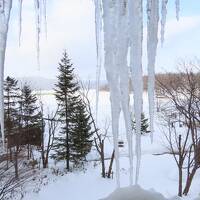 冬の釧路一人旅（4）