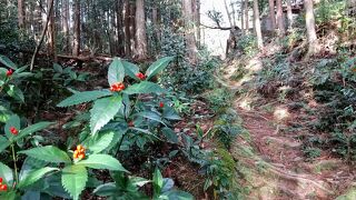 熊野古道をゆく②ー中辺路・曼荼羅のみち