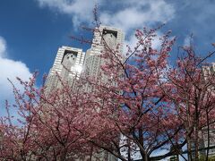 お散歩日和なので公園をお散歩です(５)  新宿中央公園から副都心を歩く