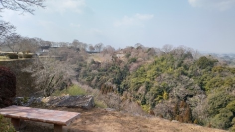 日本100名城の岡城と続日本100名城の佐伯城、臼杵城を回る旅を計画しました。従前大分といえば博多を起点に湯布院、別府は行きましたが、なかなかここまで来る機会がなく、大分そのものも博多はもちろん鹿児島、熊本、長崎に比較して訪問する機会がすくなかったですが、豊前の時代から九州の最重要地域だったこと、特に大友氏の時代は最盛期でしたが、多数の豪族や大名が独自の文化を形成していたことがよく理解しました。また山と海、温泉、料理とすばらしい観光資源を抱えておりまた来たいと思わせる魅力ある件だと再認識しました