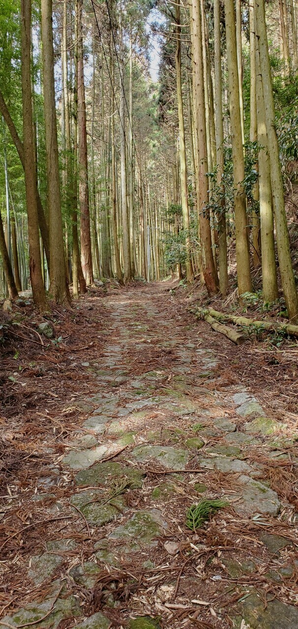 江戸時代、九州の玄関口である小倉から唯一の外国との窓口であった長崎とを結んでいた長崎街道。<br />参勤交代の大名や長崎奉行をはじめ、坂本龍馬など幕末の志士に伊能忠敬やシーボルト、果てや象や孔雀も通ったとされるこの道を徒歩で巡る長編企画です。<br /><br />第4弾はいよいよ「西の箱根」と呼ばれ、最大の難所である冷水峠を攻略します。