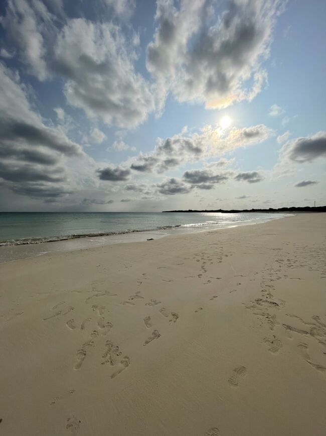 これからしばらく旅行に行けなくなりそうなので、思い立ったが吉日で約1年ぶりに宮古島旅行です。<br />目的は八重干瀬でダイビングでしたが、風が強くて行けず…また次回リベンジです。<br />今回は旅費を安くするためにパッケージツアーでそこまで高くないランクのホテルにしました<br /><br />宮古島二泊三日ひとり旅2022①の続きです