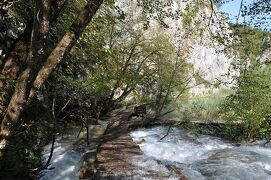 2014年クロアチア・スロヴェニア旅行記　第33回　プリトヴィツェ湖群国立公園散策その6　増水した下湖群を歩く