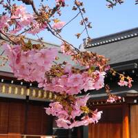 洛陽三十三所観音巡礼：２回目