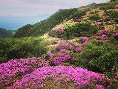 九重連山•三俣山&ミヤマキリシマ