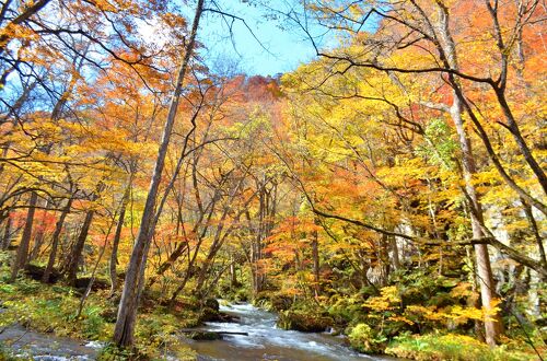 2024年】奥入瀬渓流の紅葉ベストシーズンは？見頃の時期と絶景