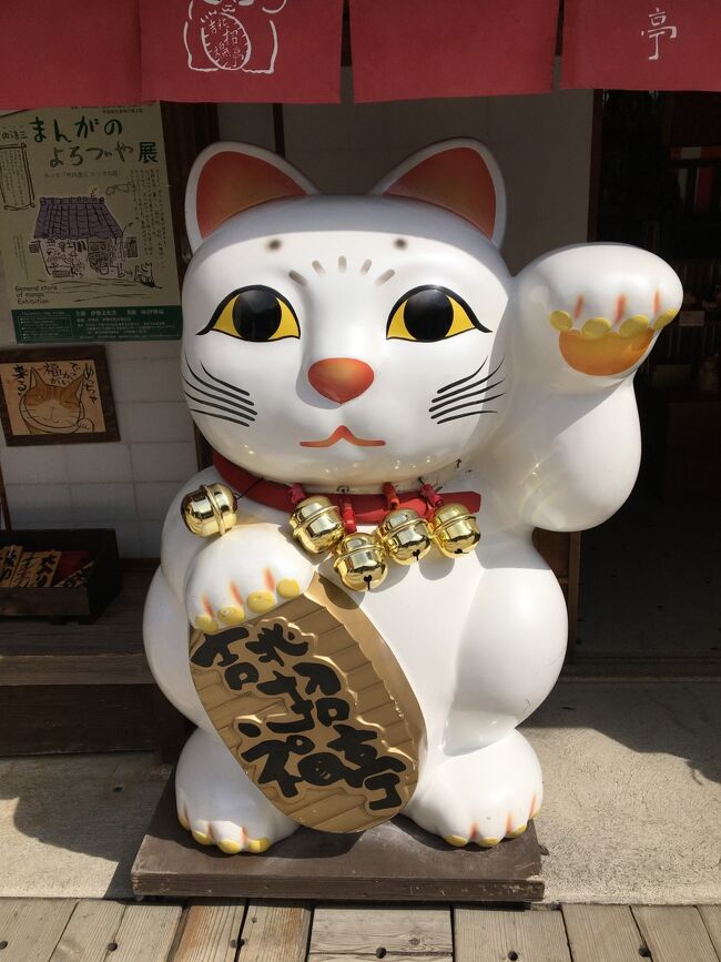 初めて青春18切符を利用して、旅に出ました。JRグループ普通列車、快速、新快速が5日(5回)分まで乗り放題になる「青春18きっぷ」は、大人、子ども同額で1万2050円。春季、夏季、冬季に発売されます。今回高槻駅から、伊勢市駅まで2640円、4時間の行程です。往復5380円が、一回一日券2410円で利用できますので、とてもお得でした。青春18切符利用は、快速、新快速が主線にあればとても楽です。この日は平日の水曜でしたが!コロナなんてどこ吹く風!!超超満員の観光客で一杯でした。