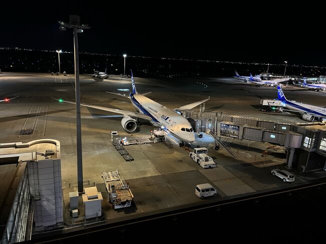 世間がオミクロン株で自粛傾向が強まった2月に羽田空港に立ち寄りました。<br />一度行きたかった羽田イノベーションシティ内にあるとんかつ檍と国内線ターミナルの訪問記になります。