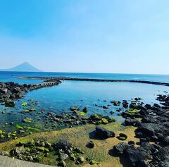 シニアトラベラー！鹿児島3日間満喫の旅②南さつま編