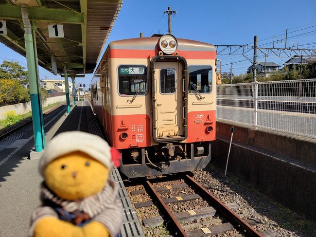 青春18きっぷ日帰り旅の第２弾<br />今回は、春を訪ねていすみ鉄道の菜の花を見に房総半島を横断してみました。<br /><br />ついでに、気になっていた東京ドイツ村のイルミネーションもチェックすることに…<br /><br />まずは房総半島横断開始です…