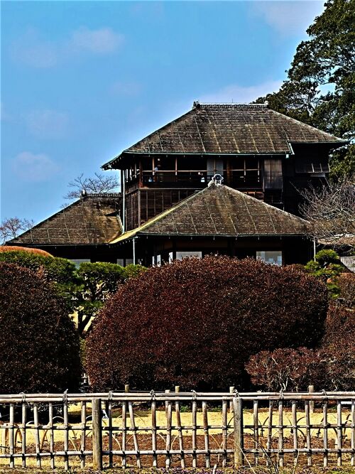 水戸-6 偕楽園-4 好文亭c 藩主の間・西塗縁 ☆〈楽〉で休憩-抹茶
