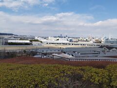 横浜みなとみらいを遠望する富岡の高台のある富岡総合公園にて浜空を偲ぶ