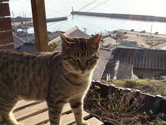 どこかにマイル7回目高松　男木島　豊島　直島　島巡り　2泊3日