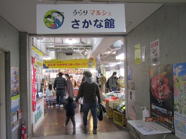 今回ツアーの目玉は三崎のマグロ刺身とひと足早い河津桜の花見であって、この二つは既に終わったので、このまま京急線に乗って帰っても良いのだが、この後は、三崎港の土産市場と横浜にある三井アウトレットに寄ることになっている。ツアー代金が５９７０円。６０００円にも満たない低料金で、阪急もバスのチャーター代、昼食代、添乗員の人件費等を考えると、ギリギリの採算だと思うのだが、こうした三井とか土産市場に立ち寄ることにより、幾ばくかの協力金をもらっているのかも知れない。桜の花見よりか、むしろ買い物時間の方が長いようだ。<br /><br />昼食会場、マホロバホテルからは３０分程で三崎港に到着。港の直ぐ横に「うらりマルシェ」という名前の海鮮土産市場があり、店内には凡そ３０－４０軒程の小売店が入居している。首都圏から車でやってくるのか、店内はかなり混んでいる。店舗が魚屋だから、呼び込みの掛け声も威勢が良い。「安いよ、安いよ、上がったばかりだよ」と、店舗同士の掛け声合戦。去年同じような串本の海鮮土産市場に行ったが、客の数は圧倒的にこちらの方が多く、従って、掛け声の元気さも違う。ここまで来る人は魚目的で来ているのだから、売り上げも相当上がっているだろう。<br /><br />自分は車ではなく、バスツアーで、生モノは無理で、干物とか磯海苔等の乾物を買い、孫の所にキンキでも送ろうかと宅配料金を聞いたら、保冷になるので１５００円掛かると言われ、それはキンキ代よりも高くなるので、送るのは止めておいた。代わりにフグの一夜干しがあったので持ち帰り用に買っておいた。この「うらりマルシェ」での買い物時間は１時間。買い物自体は２０分もあれば十分で、このマルシェの外が三崎港になっていて、湾口を散歩する。湾の前方に城ケ島が見えるが、灯台は陰になってここからは見えない。ＪＲ大船駅からずっと三浦半島を歩き、城ケ島大橋を渡り、灯台までの３５キロを歩いた。もう５年前になるが、光陰は矢の如しだ。