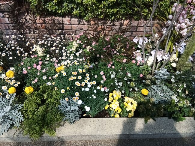 はままつフラワーパークや浜松市動物園など、舘山寺周辺の観光スポットを訪れました。