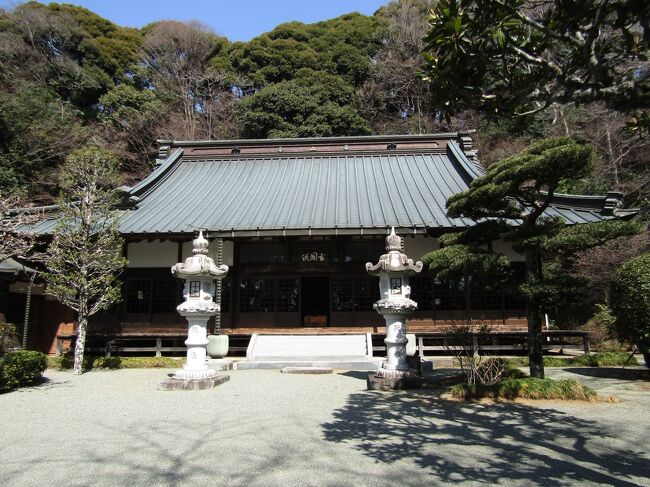 　神奈川県足柄上郡大井町山田にある了義寺（りょうぎじ）は臨済宗建長寺派のお寺で飛瀧山了義禅寺という。<br />　初代鎌倉公方足利基氏が延文5年（1360年）に創建した。基氏は尊氏の四男である。実際には、貞治元年（1362年）（貞治6年（1367年）とも）に鎌倉・長寿寺から古先印元禅師を拝請して開祖としている。寺の「略伝」と町の「杉の板戸絵」の文化財看板で創建年に違いが見られる。<br />　寛政3年（1791年）には芝山禅師が中興した。また、中興開基は曽根惣右衛門であるが、その家祖を中興開基に準じている。<br />　現在の本堂は中興時のもので、竹林図や龍虎図などの「杉の板戸絵」は寛政6年（1794年）に秋山桂月という女性が描いたと伝わっている。<br />　Wikipediaには「本堂の裏手には弁天堂がある。更に弁天堂の奥に行くと境内に滝と池がある。」とあるが、それらは見逃した。しかし、住職に断って本堂に飾ってある4枚の「杉の板戸絵」を拝見した。たまたま、境内にご夫婦がいたので誘って一緒に拝見した。岩と2本の竹の間に虎が描かれていた。18世紀末の「杉の板戸絵」なので痛みが少ないのか？<br />　鐘楼は再建したばかりだ。<br />　また、門前から富士山を望むことが出来た。<br />（表紙写真は了義寺本堂）