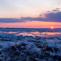 やっとこさの根室03: 寒いからこそ美しい。楽しい♪ 流氷の海に染まるピンクの夕焼けと早朝野鳥撮影