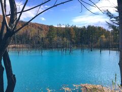 Gotoを活かして北海道へ！２泊３日の旅＊２日目＊