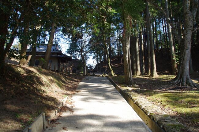 ３月12日(土)は、千葉県の小湊鐵道の気動車に乗って、高滝駅で下車しました。高滝湖と高滝ダムが有ります。山口の木造地蔵菩薩坐像を有り難く拝みました。温かくなり、薄着で歩きました。<br />市原市の標高186ｍの「音信山」（おとずれやま）に向かいました。この名称が良いと思いました。私は音痴です。登山道は有るのですが、笹の藪となっていて、分かりずらかった。急斜面では生きた木を頼って登りました。尾根が複雑です。スマホで地図を見ながら歩きました。低山ですが、難しかった。<br />次、木更津市の真里谷（まりやつ）城へ向かいました。真里谷城は標高162ｍで、城山神社と閉鎖中のキャンプ場が有ります。康正２年(1456年)に上総武田氏の祖の武田信長公が築いたとのこと。城山神社に武田菱が有ります。「真里谷」という名も惹（ひ）かれます。<br />たいした景色は見られませんでしたが、神社や仏様が有り難く感じました。<br />房総のローカル線は秘境感が有ります。日が沈み、ＪＲ久留里線の下郡（しもごおり）駅より帰途に就きました。