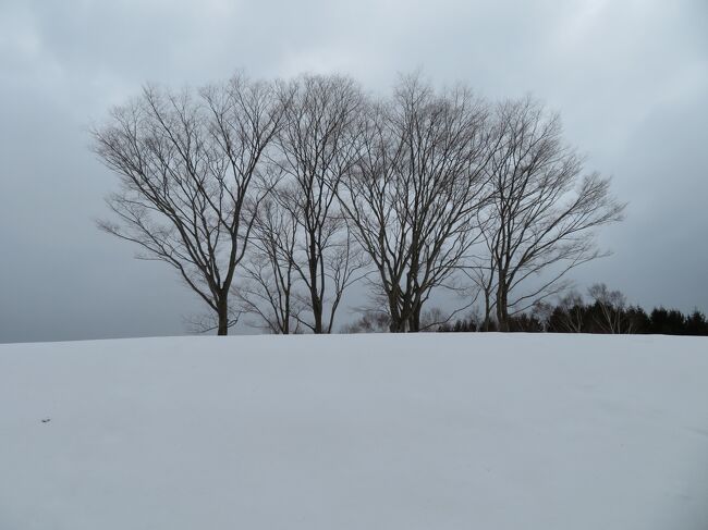 弾丸低気圧の間を潜り抜けた北海道一人旅　函館・札幌編