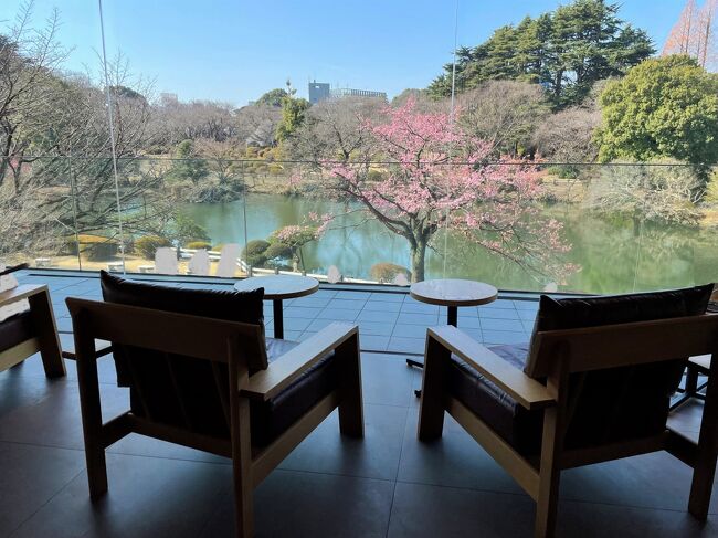 2022年3月20日、『靖国神社』の標本木の桜が咲いたので東京で開花宣言がありました。<br />これから数週間、都内でもお花見が楽しめますね♪<br /><br />◆ 東京・千駄ヶ谷【GOOD MORNING CAFE NOWADAYS】<br /><br />2019年6月1日、カフェ【グッドモーニングカフェ ナワデイズ】がオープン！<br /><br />3度ほどリニューアルしていますが、過去の店舗のほか、<br />虎ノ門、中野、品川で利用したことがあります。<br /><br />◇ 東京・新宿区『新宿御苑』でお花見をします♪<br />梅の木やカンザクラ（寒桜）もキレイです。残念ながらアルコールの持込は禁止です。<br /><br />『新宿御苑』のエントランスは「新宿門」、「大木戸門」、「千駄ヶ谷門」と<br />3か所あり、いつも「千駄ヶ谷門」から入っています。<br /><br />2022年3月19日から事前予約制になります。<br /><br />＜新宿御苑の桜の繁忙期における事前予約制について＞<br />新宿御苑では、桜の繁忙期における発券所や園内の混雑緩和、<br />新型コロナウイルス感染症の感染拡大防止策の一環として、<br />2022年3月19日(土)から同年4月10日(日)までの期間について<br />事前予約制を実施することとしました。<br /><br />＜開園時間＞<br />※新型コロナウィルス感染症の感染拡大防止のため、<br />令和4年3月15日からの開園時間は9:00-16:00、閉園時間は16:30となります。<br /><br />＜期間＞<br />10/1～3/14の開園時間　9:00AM～4:00PM、閉園時間　4:30PM、<br />温室利用時間　9:30AM～3:30PM<br />3/15～6/30、8/21～9/30の開園時間　9:00AM～5:30PM、<br />閉園時間　6:00PM、温室利用時間　9:30AM～5:00PM	<br />7/1～8/20の開園時間　9:00AM～6:30PM、<br />閉園時間　7:00PM、温室利用時間　9:30AM～6:00PM<br /><br />＜休園日＞<br />毎週月曜日(月曜日が休日の場合は翌平日)<br />年末年始(12月29日～1月3日)<br /><br />＜入園料＞※お支払は現金のみとなっております<br />一般　500円、65歳以上　250円、学生 (高校生以上)　250円 <br />小人 (中学生以下)　無料<br />団体(30人以上)一般　400円、65歳以上　250円、学生 (高校生以上)　<br />250円、小人 (中学生以下)　無料<br />・65歳以上の方は年齢の確認できる証明書を提示下さい。<br />・学生(高校生以上)の方は学生証を提示下さい。<br />・身体障がい者手帳、療育手帳・精神障がい者保健福祉手帳を<br />お持ちの方は本人と介助者1名の入園は無料です(手帳をご提示下さい)。<br />・補助犬も入園できます。<br /><br />＜年間パスポート＞<br />一般　2,000円、高校生　1,000円<br />開園日の9時から閉園1時間前まで各入園門発券所で発売。<br />ただし無料開園日は発行を休止します。	<br /><br />＜アクセス＞<br />「新宿門」<br />東京メトロ丸ノ内線「新宿御苑前」駅出口1より徒歩5分<br />東京メトロ副都心線「新宿三丁目」駅E5出口より徒歩5分<br />都営新宿線「新宿三丁目」駅C1・C5出口より徒歩5分<br /><br />「大木戸門」<br />東京メトロ丸ノ内線「新宿御苑前」駅出口2より徒歩5分<br /><br />「千駄ヶ谷門」<br />都営大江戸線「国立競技場」駅A5出口より徒歩5分<br />JR総武線「千駄ヶ谷」駅より徒歩5分<br />東京メトロ副都心線「北参道」駅出口1より徒歩10分<br /><br />◆ 東京・新宿区『新宿御苑』の【STARBUCKS COFFEE】<br /><br />2020年3月20日、【スターバックスコーヒー】新宿御苑店がオープン！<br /><br />『新宿御苑』内にあるので入園料を支払って利用します。<br /><br />◇ 東京・新宿区『新宿御苑』に新しくオープン！<br /><br />◆ 2022年3月19日、中央休憩所売店【SASAYAIORI+ 新宿御苑】がオープン！<br /><br />1716年創業より京都御所や神社仏閣の御用を勤めてきた<br />京菓匠【笹屋伊織】との協働運営により、和菓子をアレンジした<br />オリジナルスイーツを中心に提供します。<br />創業300余年の老舗京菓匠が手掛ける和菓子屋の枠にとどまらない<br />新たな試みとしての「SASAYAIORI+」にご期待ください。<br /><br />◆ 2022年3月19日、レストランゆりのき　和食＆甘味処【つぶら乃】がオープン！<br /><br />京都・清水寺に続く八坂通りに本店を構える和食＆甘味処【つぶら乃】との<br />協働運営により、知恵と技術と感性により生み出される和の美味しさを提供します。<br /><br />◆ 東京・北参道【KITASANDO COFFEE】<br /><br />2019年8月6日、カフェ【キタサンドウコーヒー】がオープン！<br /><br />◆ 東京・原宿【生クリーム専門店MILK CAFE】<br /><br />【生クリーム専門店ミルクカフェ】でティータイム♪