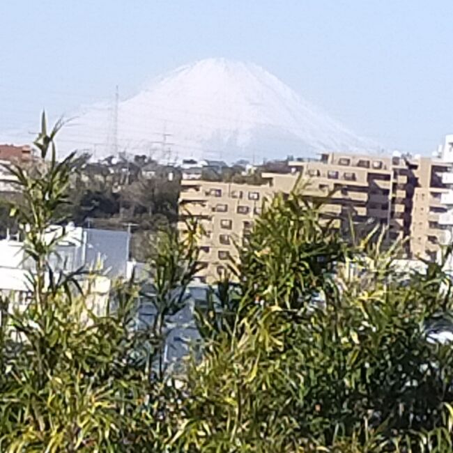 高台からの早朝の富士を楽しみ、妙秀寺の境内を散策、吉田橋を渡って戸塚駅西口周辺を散策、戸塚駅から地下鉄ブルーライン快速に乗りセンター南駅でグリーンラインに乗り換えました。