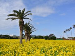 春の渥美半島　菜の花ガーデンと絶景ホテルへ