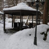 信州松本　優雅な冬旅♪　Vol.39 ☆扉温泉明神館：美しい雪景色の庭園と渓流♪