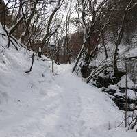 信州松本　優雅な冬旅♪　Vol.40 ☆扉温泉明神館：美しい雪景色の庭園と渓流♪