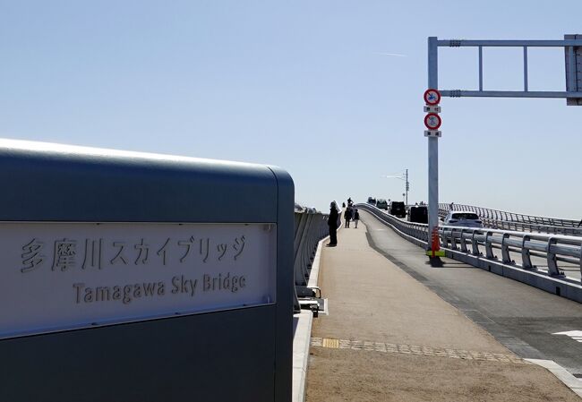 　3月12日、TV報道で川崎臨海部から羽田空港に直結する多摩川スカイブリッジが開通したのを知ります、車道の他、歩道、自転車道も設けられているとの事。早速14日見学に出掛けました。<br />　場所が川崎臨海部なので、京急川崎から大師線を利用。<br />それなら川崎大師にも立寄ろうと途中下車、7～8年振りの訪問です。<br />コロナの為か人出は少な目、参道なのに店を閉めている処もあります。<br />　参拝後電車を乗継ぎ終点の小島新田駅へ、そこからは徒歩で約20分、スカイブリッジに到着。<br />　全長675米、総工費300億、多摩川に架かる橋の内一番河口に近い橋。<br />渡るのに10分、着いた処は羽田空港、目の前のビルは空港ホテルで開業準備中。<br />最寄りの旅客ターミナルは第3ターミナル、駐車場を横切り10分程掛かりました。<br />　その後巡回バスで第2ターミナルに移動、展望デッキで飛行機の発着を眺めながらしばし休憩、橋の上から眺めた駐機場は満杯でしたが、ターミナル前の駐機は疎ら、ここにもコロナの影響が出ています。<br />　その後はリムジンバスで帰途に着きます。　<br />