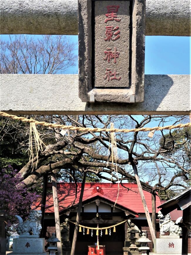 星影神社（ほしかげじんじゃ）は、千葉県船橋市二和西にある神社である。<br />祭神　　星影神（ほしかげのかみ）<br />由緒　二和の地は、もともとは江戸幕府が所管する小金牧という牧が置かれていたが、明治に入り開拓されこの神社の周辺は二番目に開拓が始まったことから「二和」と称され、この神社は二和の鎮守として1870年（明治3年）に稲荷神を祭ったことに始まる。社名については、この地の開拓を担当した星野氏に由来するという。<br />千葉県船橋市二和西3-6-43<br />（フリー百科事典『ウィキペディア（Wikipedia）』より引用）<br /><br />https://yaokami.jp/1120293/<br />