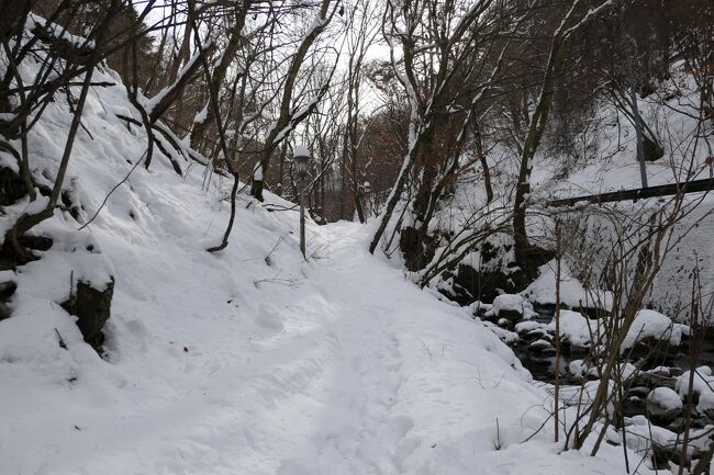 信州松本　優雅な冬旅♪　Vol.40 ☆扉温泉明神館：美しい雪景色の庭園と渓流♪