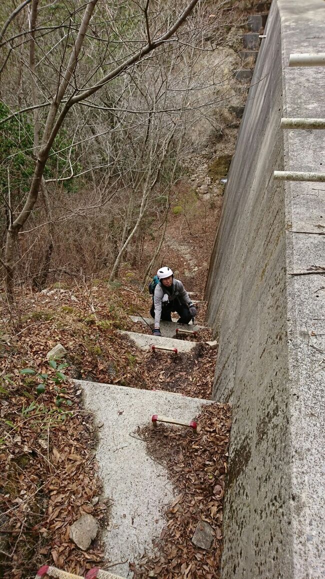 　谷コースを登ったので念のためヘルメットを被って行った。（ちょっと大袈裟？）<br /><br />　ヘルメットを被ったら「あるある探検隊」を思い出したので「山登りあるある」を作ってみた。<br /><br /><br />　青空が見えたので「もうすぐ山頂だ！」と思ったらまだまだ先だった。<br /><br />　ピークに出たのに目の前の山頂まで激下りで登り返しがきつくてがっかり。<br /><br />　踏み跡見ながら歩いていたら張り出した木の枝に頭をぶつけた。<br /><br />　普段は不愛想なのに山ではすれ違う人毎に挨拶する。<br /><br />　歩きに来たのに道路へ出て車が来ると「乗せてくれんかな」と思ってしまう。<br /><br />　毎回しんどくて「もう山登りは止めだ！」と思うが暫くするとまた登りたくなる。<br /><br />　毎回持って行っても使わないものがあるが、やっぱり又持って行ってしまう。<br /><br />　すれ違う人に「山頂までもうちょっとですよ」と言われても信用してはいけない。<br /><br />　テープやリボンが少ないコースだなと思ったらルート外れしていた。<br /><br />　山頂で変なポーズで自撮りしていたら後続の人たちにしっかり見られた。<br /><br />　ちょっと話しかけただけなのに、おじさんに滔々と山自慢を聞かされた。<br />　<br />　おばさんが山ガールに見えた？　そんな訳ないか！<br /><br />　さして自分は可愛くもないくせに、おじさんに話しかけられて警戒オーラはやめろ！<br />