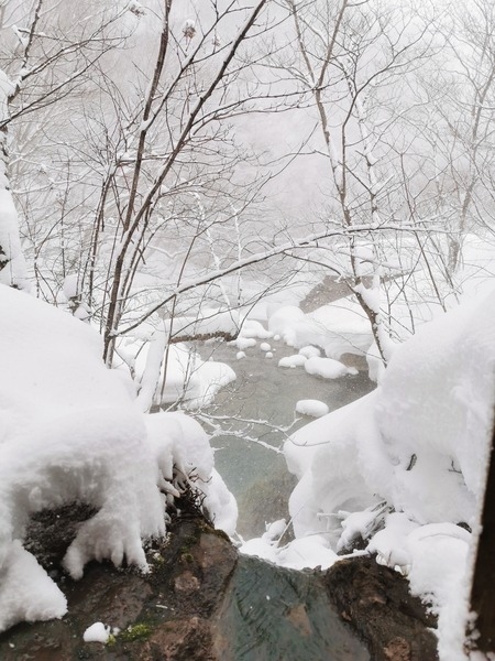 今年は秋の終わり、北陸旅行の帰りに奥飛騨の福知山温泉で雪見風呂が楽しめたのですが<br />コロナの影響もありなかなか前のようには出かけられず。<br />それでも豪雪地帯、しかも秘境と呼ばれる奥鬼怒温泉へ行くという希望を捨てずに年が明け・・・。<br />奥鬼怒ほどの秘境とは言えませんが那須湯本温泉からもう少し奥へ行った「北温泉」へ行ってきました。<br />そうです、映画「テルマエロマエ」で一躍有名になったあの大きなプール風呂がある鄙びた温泉宿に一泊することにしました。